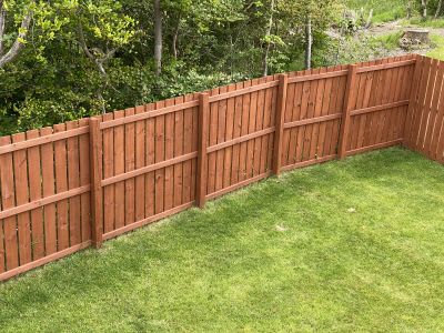 Backyard Fence Staining