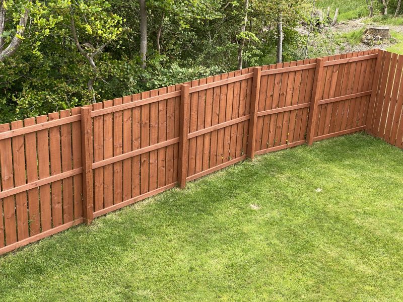 Backyard Fence Staining